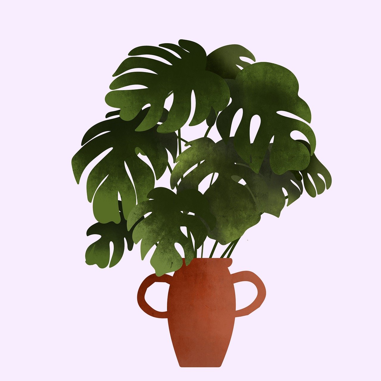 Pianta d'appartamento verde in un ambiente luminoso, simbolo di fortuna secondo il Feng Shui.